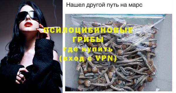 круглые Вяземский