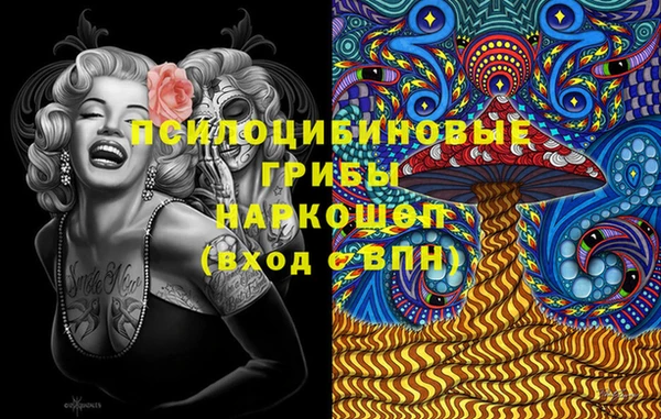молекула духа Янаул