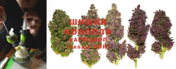 круглые Вяземский