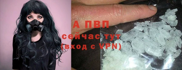 круглые Вяземский