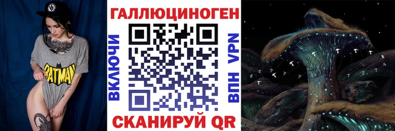 сайты даркнета телеграм  Медвежьегорск  Псилоцибиновые грибы Cubensis  купить наркотики сайты 