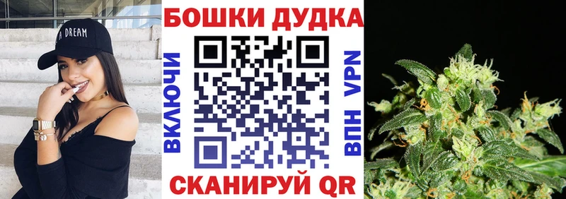 закладки  Медвежьегорск  Конопля индика 